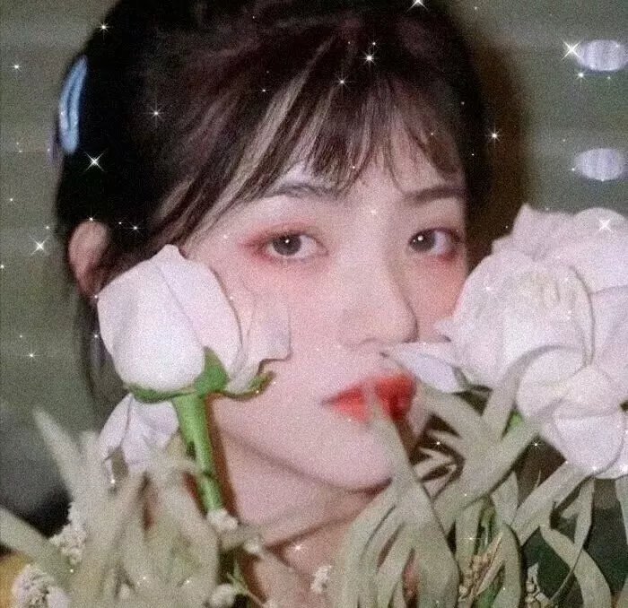 二龙湖·村暖花开2 封面